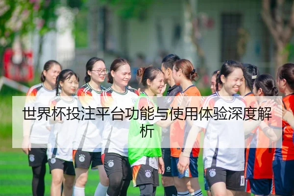世界杯投注平台功能与使用体验深度解析
