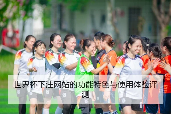 世界杯下注网站的功能特色与使用体验评测