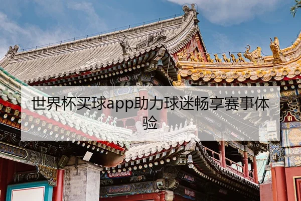 世界杯买球app助力球迷畅享赛事体验