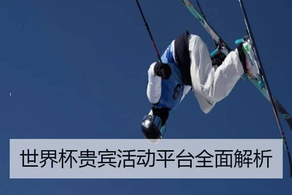 世界杯贵宾活动平台全面解析