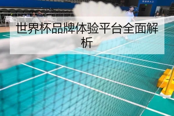 世界杯品牌体验平台全面解析