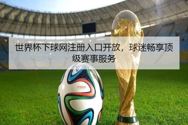 世界杯下球网注册入口开放，球迷畅享顶级赛事服务